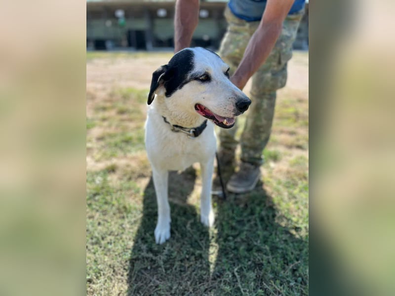 Ich habe noch Hoffnung