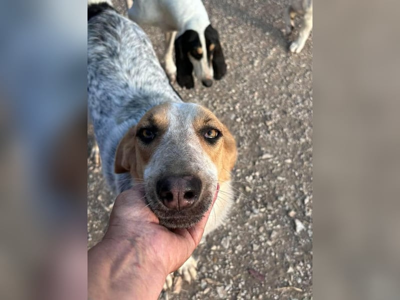 PACKO sucht ein Zuhause