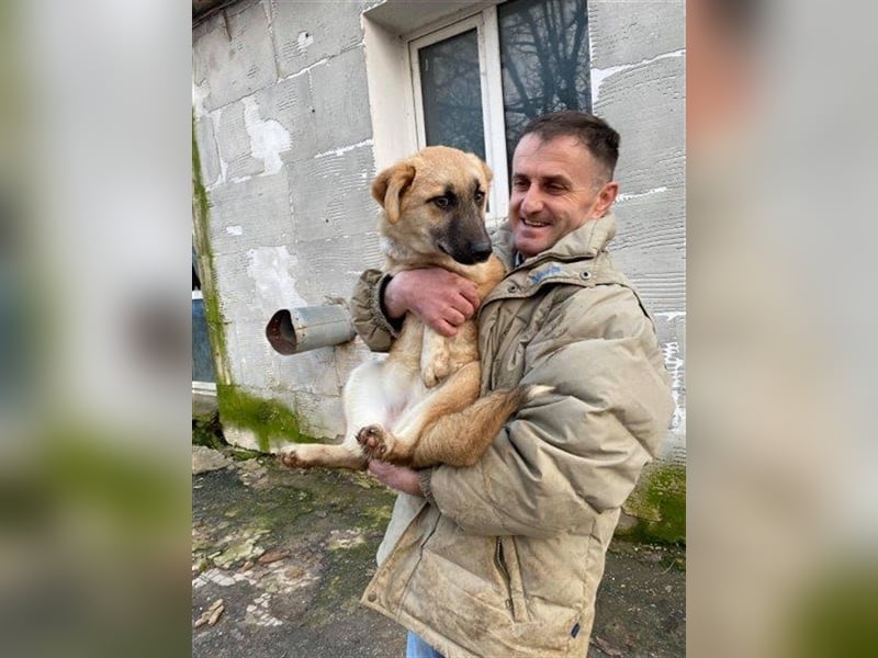 Arielle – unser fröhlich-aktives Dreibeinchen