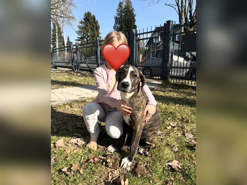 Liva in Berlin auf Pflegestelle