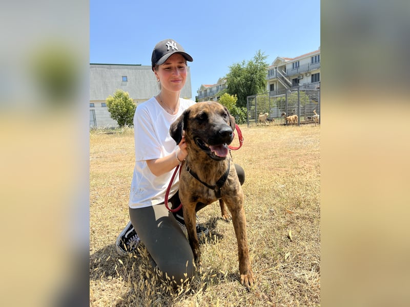 Aufgeweckter super lieber Bruno!