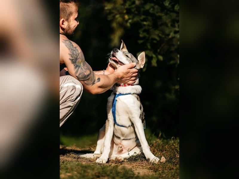 Fröhlicher Bimka sucht seine Familie
