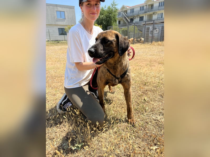 Aufgeweckter super lieber Bruno!