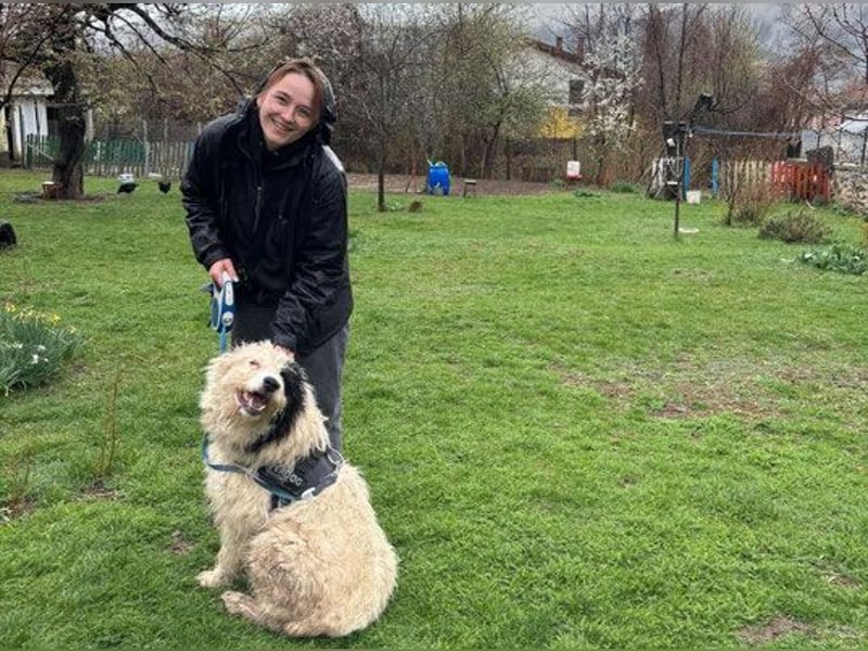 Rika - weiblich kastriert - geboren 2019