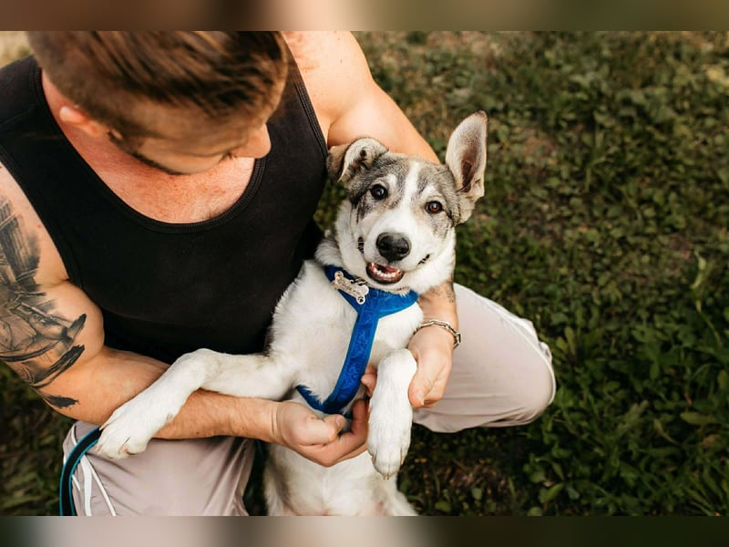 Fröhlicher Bimka sucht seine Familie