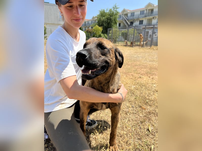 Aufgeweckter super lieber Bruno!