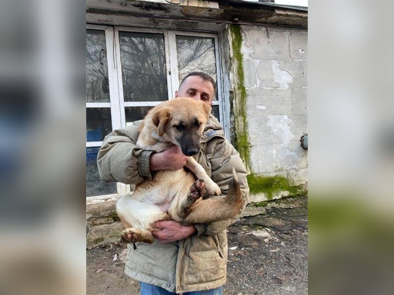 Arielle – unser fröhlich-aktives Dreibeinchen