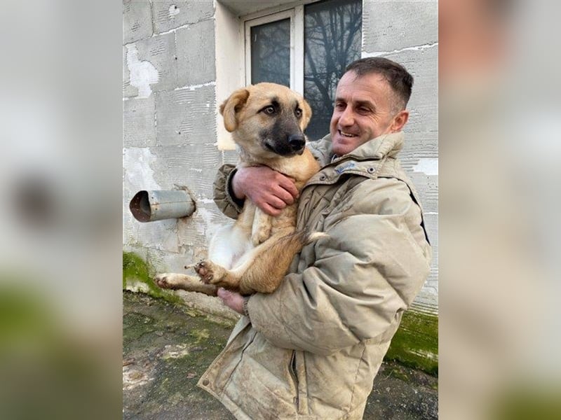 Arielle – unser fröhlich-aktives Dreibeinchen