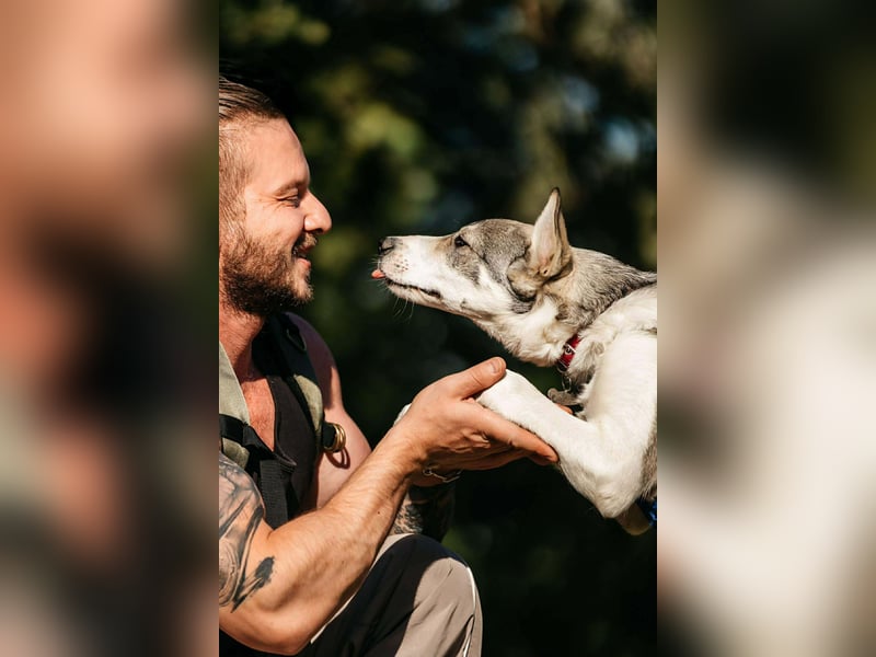 Fröhlicher Bimka sucht seine Familie