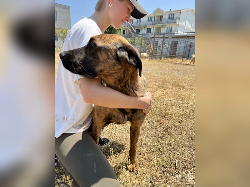 Aufgeweckter super lieber Bruno!