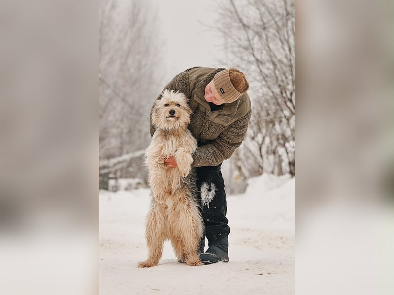 Kleiner Clown Benny sucht seine Familie