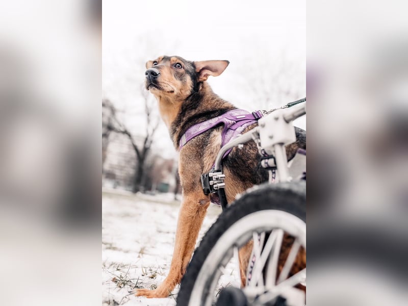 Besondere Miranda sucht passendes Zuhause