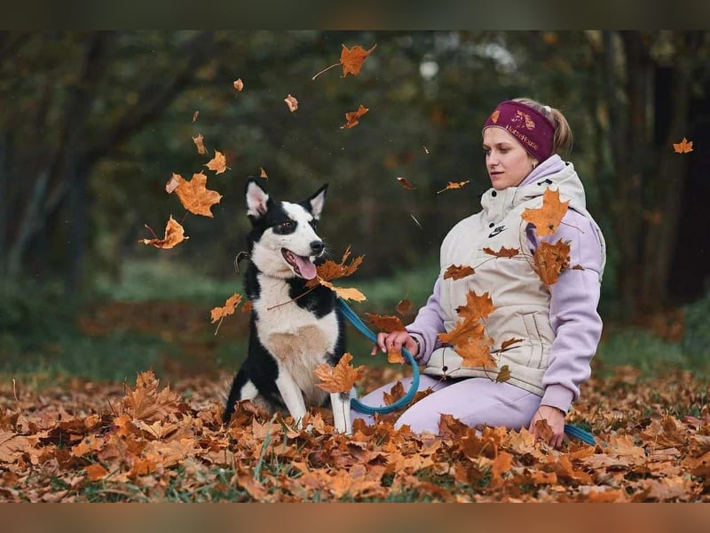 Lebensfroher Chico sucht sein Zuhause