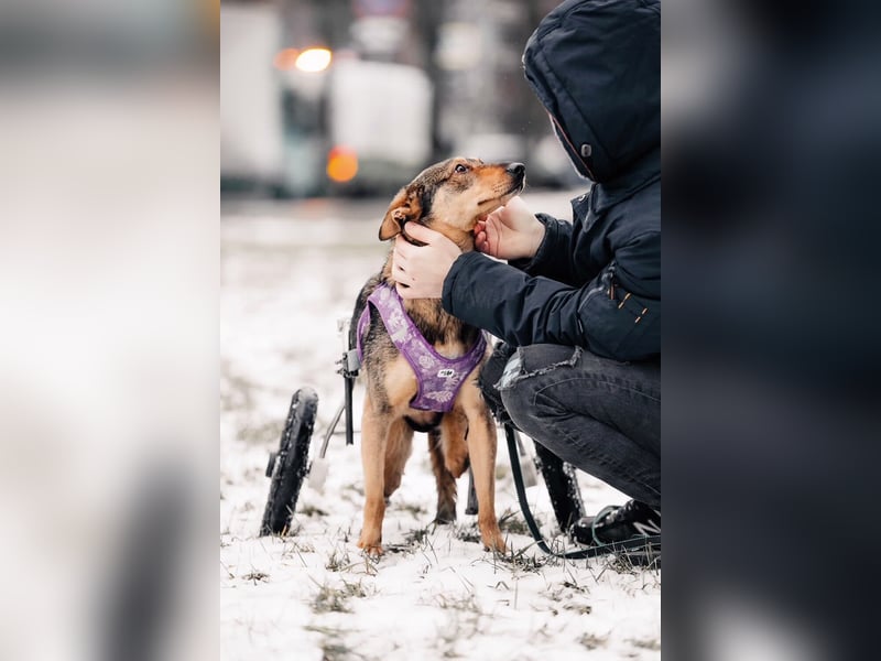 Besondere Miranda sucht passendes Zuhause