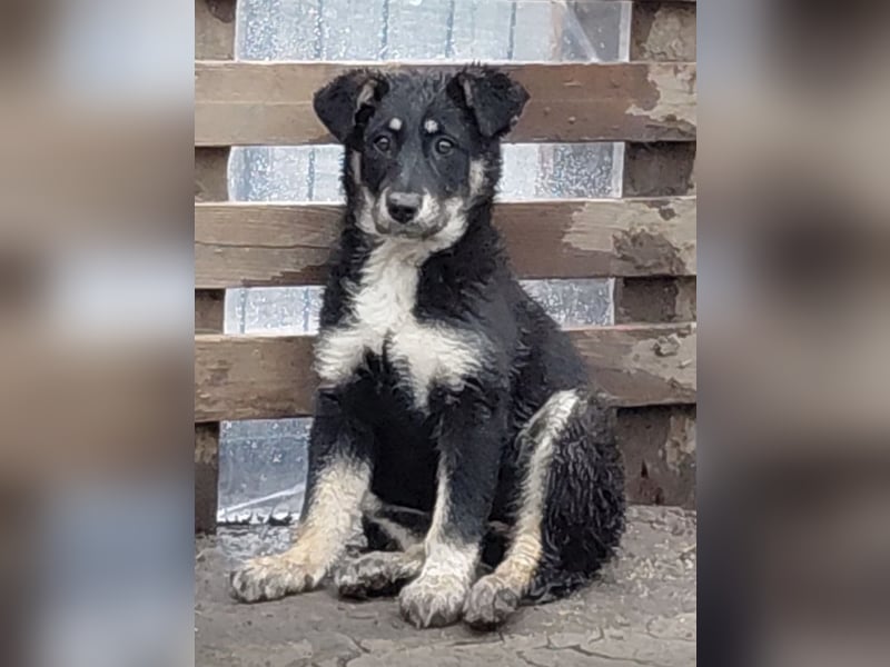 Nevia - süß, verspielt und etwas frech :-))