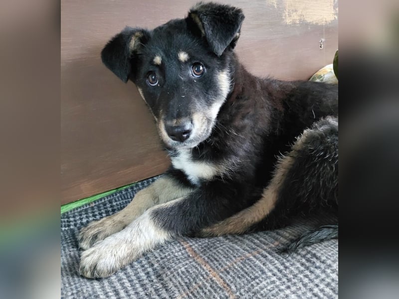 Nevia - süß, verspielt und etwas frech :-))