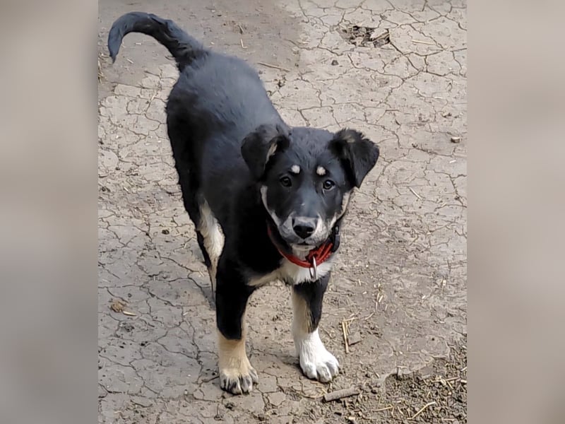 Nevia - süß, verspielt und etwas frech :-))