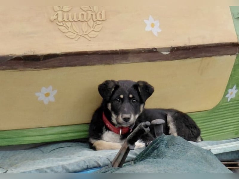 Nevia - süß, verspielt und etwas frech :-))