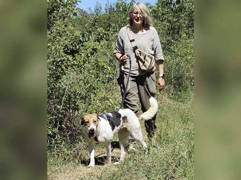 Martha - ruhige und freundliche junge Hündin