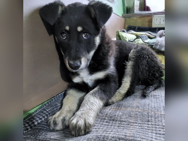 Nevia - süß, verspielt und etwas frech :-))