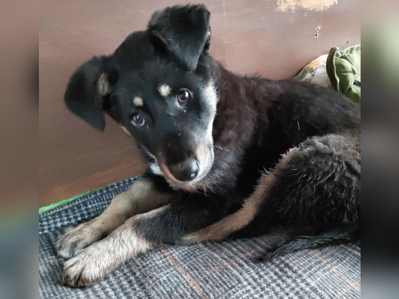 Nevia - süß, verspielt und etwas frech :-))