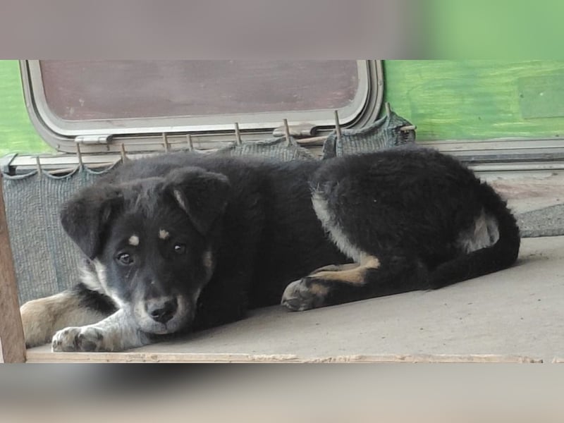 Nevia - süß, verspielt und etwas frech :-))