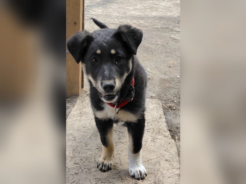 Nevia - süß, verspielt und etwas frech :-))