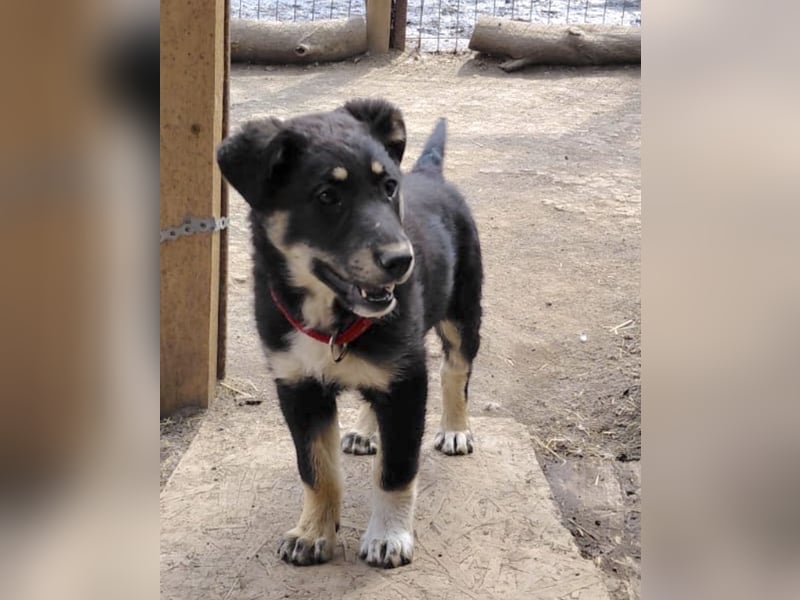 Nevia - süß, verspielt und etwas frech :-))