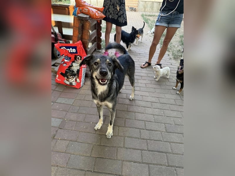 Tucker von kettenlos