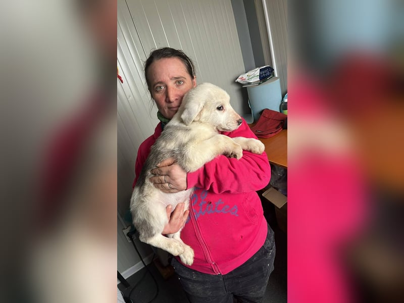 Lysandra von kettenlos