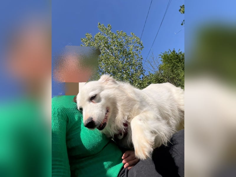 Jenny, freundlich und menschenbezogen