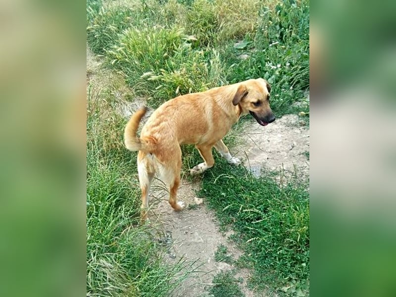 Abby,  möchte mit Dir Neues entdecken