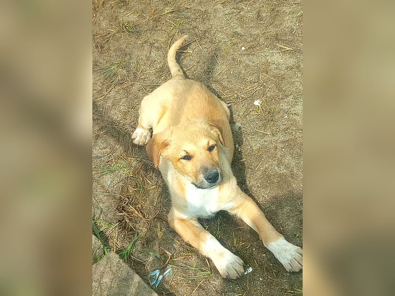 Aron, möchte die Welt kennenlernen