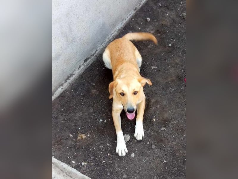 Aron, möchte die Welt kennenlernen