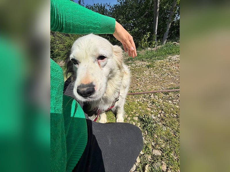 Jenny, freundlich und menschenbezogen