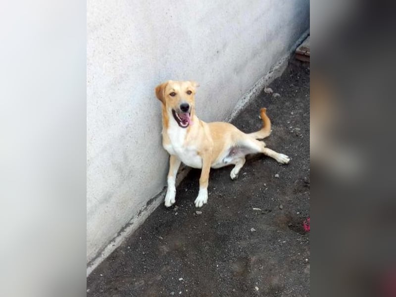 Aron, möchte die Welt kennenlernen