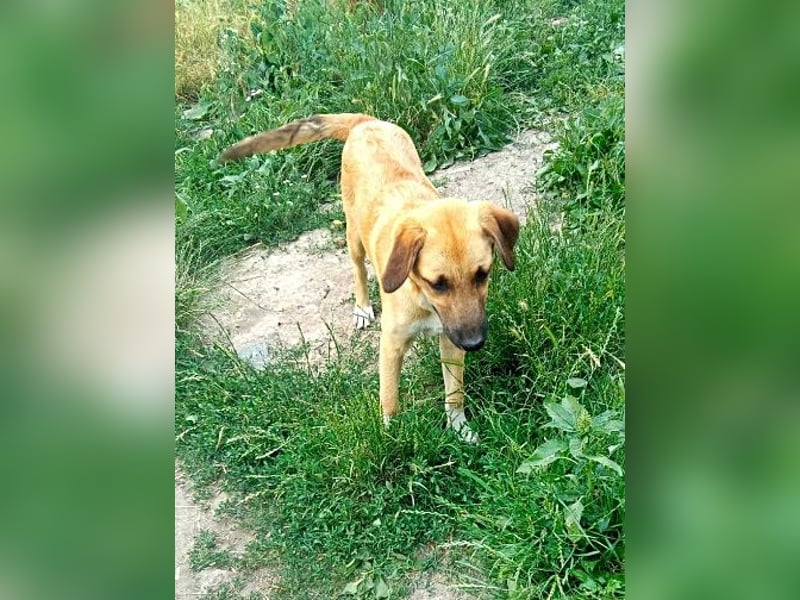 Abby,  möchte mit Dir Neues entdecken