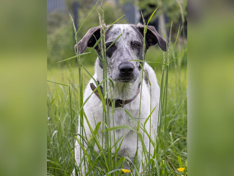 Clarita: sucht Familienanschluss