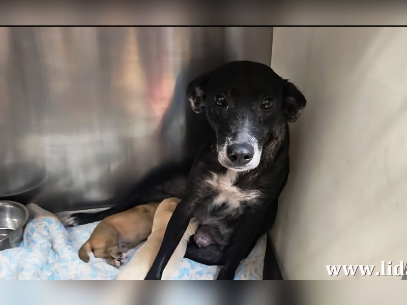 Ena: nur einmal Liebe spüren...