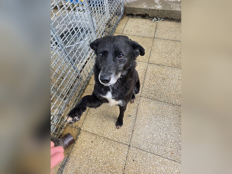 Ena: nur einmal Liebe spüren...