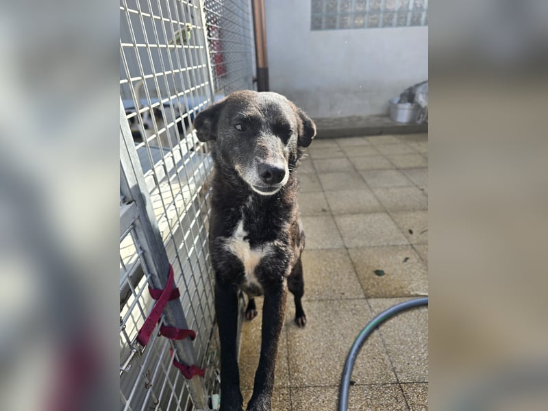 Ena: nur einmal Liebe spüren...