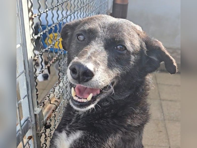 Ena: nur einmal Liebe spüren...