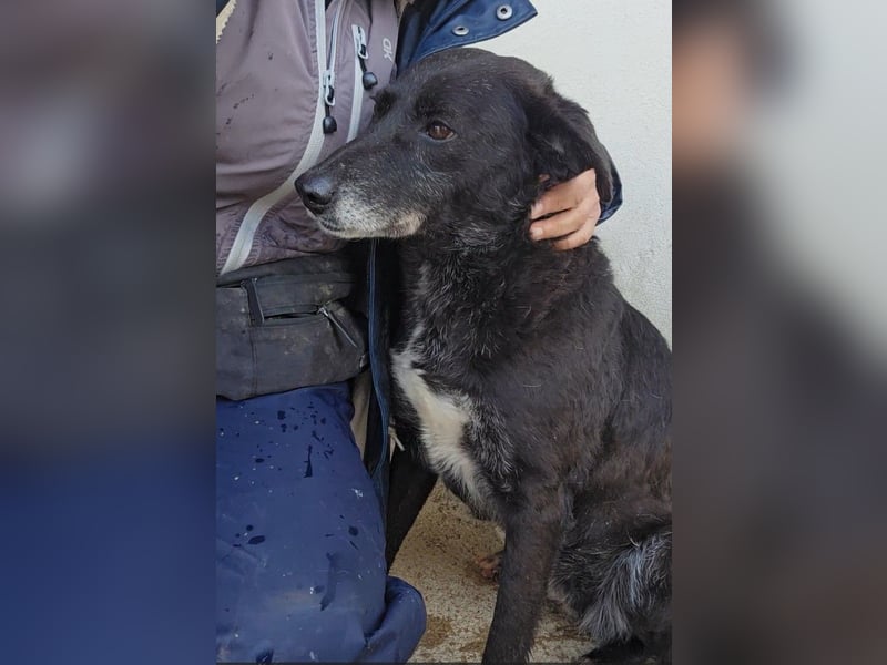 Ena: nur einmal Liebe spüren...