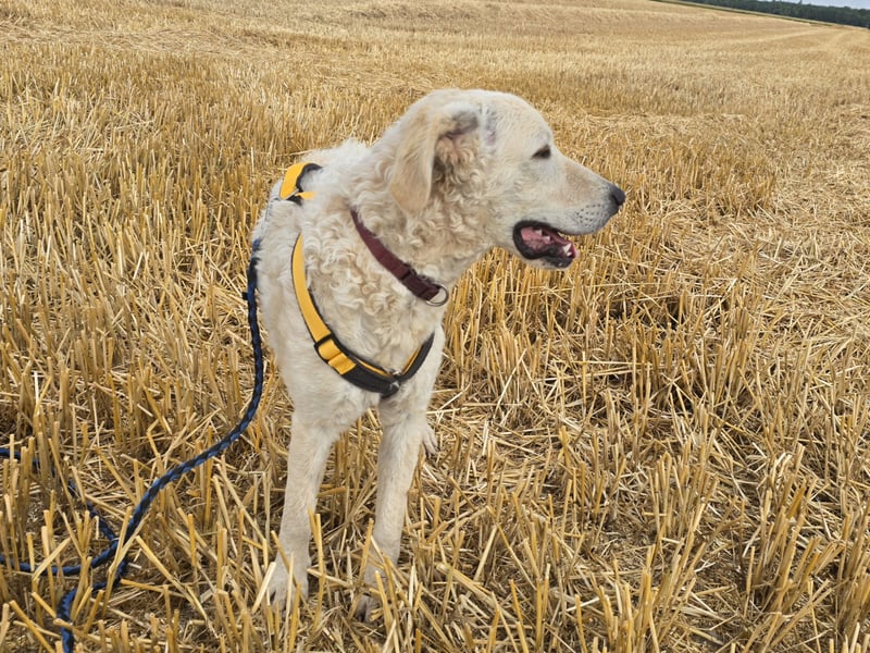 Basti: Spaß und gute Laune garantiert