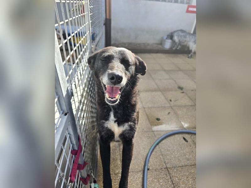 Ena: nur einmal Liebe spüren...