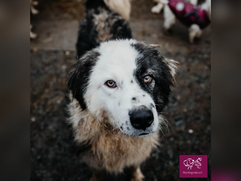 Wilke wartet auf DICH❣️❣️❣️