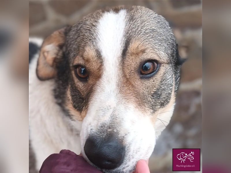 Cara wartet auf dich!