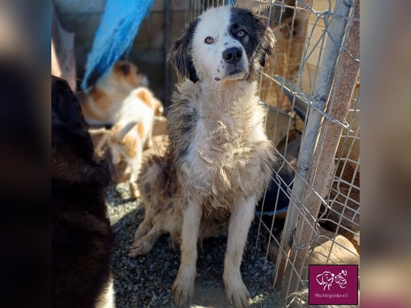 Wilke wartet auf DICH❣️❣️❣️