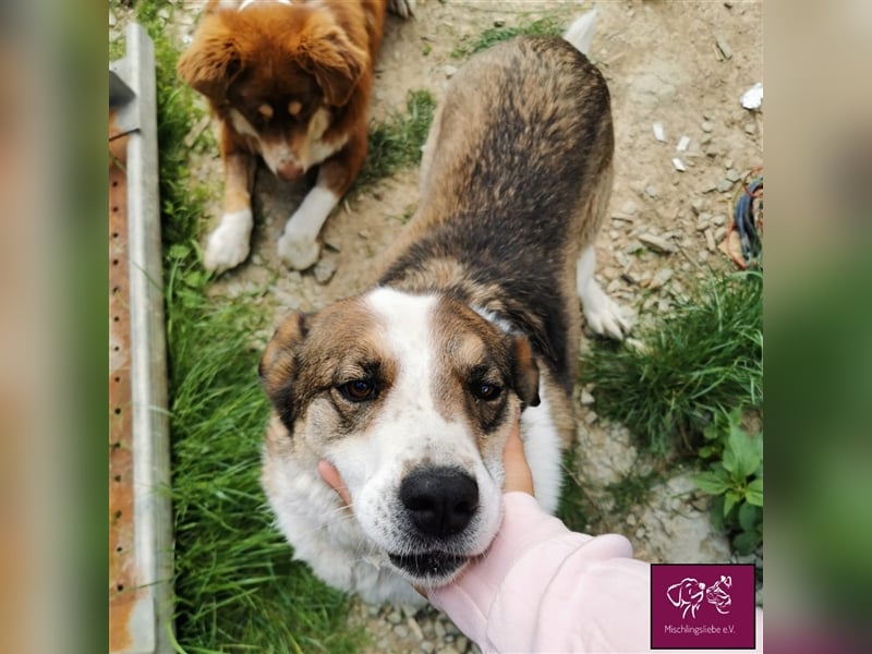 Maya auf der Suche nach ihrem Glück 