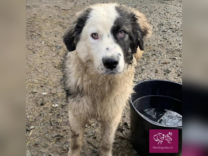 Wilke wartet auf DICH❣️❣️❣️